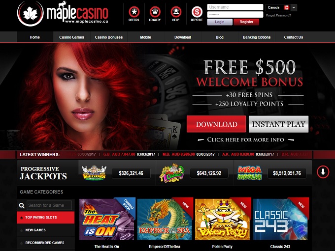 maple casino hp new