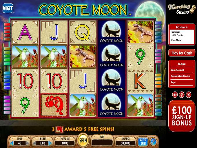 Coyote Moon Online Casino Game