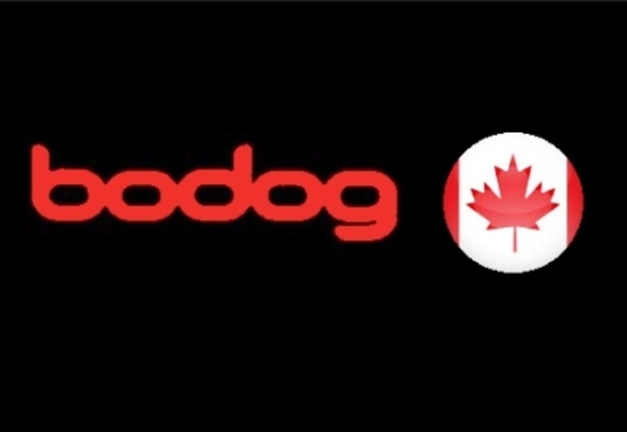 Bodog canada login page