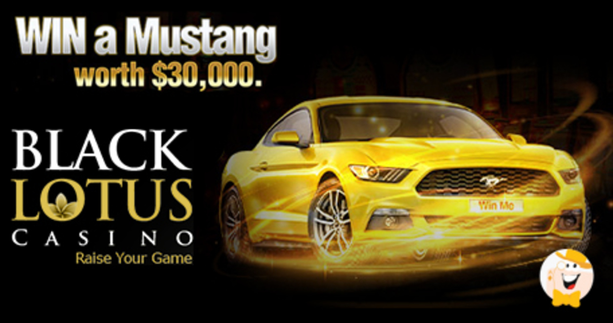 Black Lotus Casino Sign Up