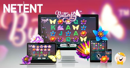 Butterfly Butterfly