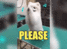 Karen