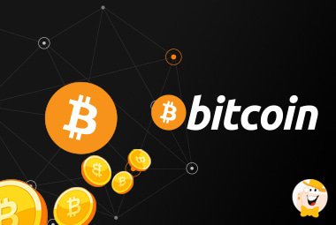 to-get-started-with-bitcoin-you-have-to-create-a-wallet