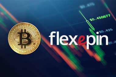 about_bitcoin_and_flexepin